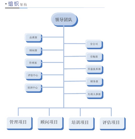 公司组织框架